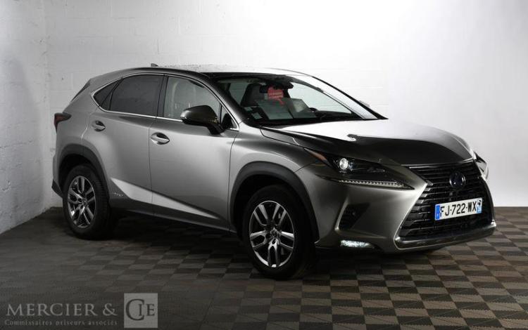 LEXUS NX 300H GRIS FJ-722-WX