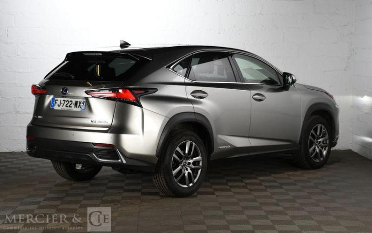 LEXUS NX 300H GRIS FJ-722-WX