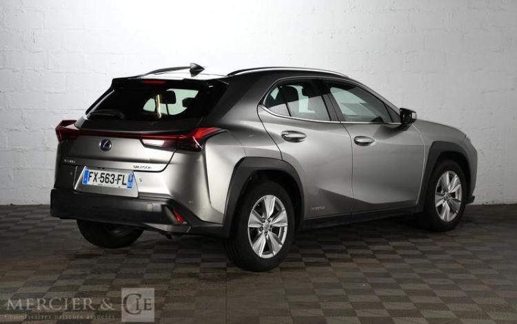 LEXUS UX 250 H PACK CFT BUSINESS GRIS FX-563-FL