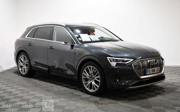 AUDI E-TRON GRIS FS-186-JC