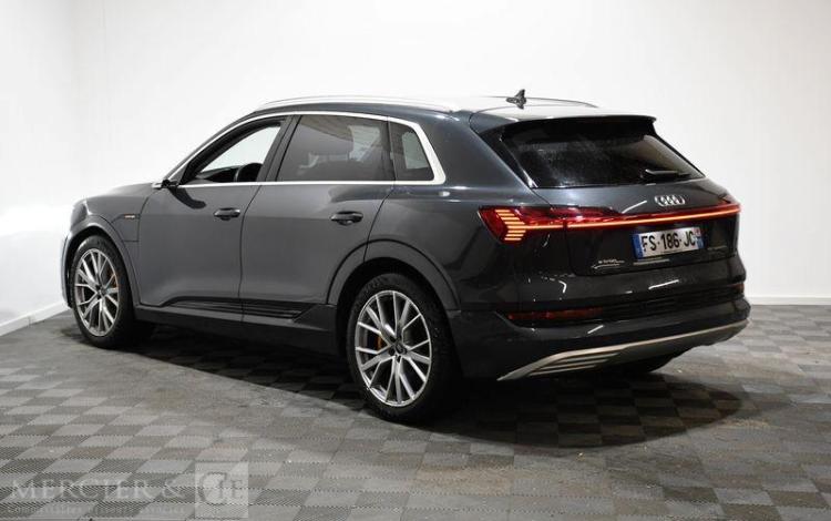 AUDI E-TRON GRIS FS-186-JC