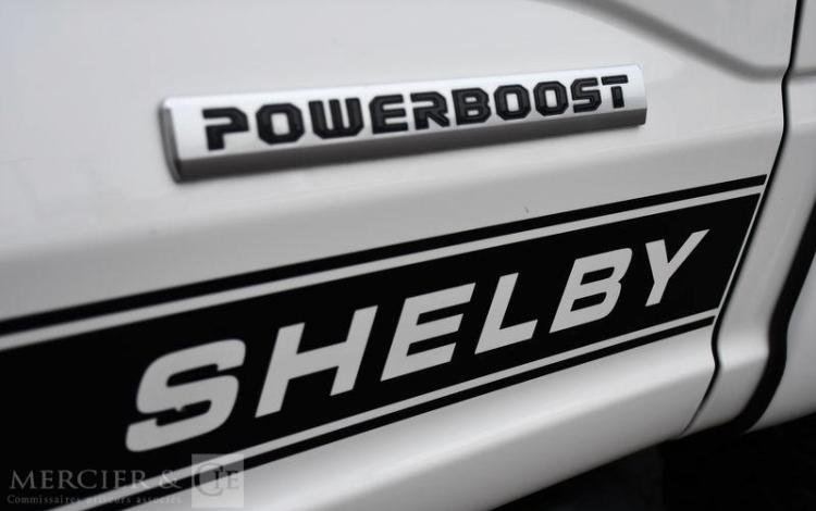 FORD SHELBY F150 BLANC PET9813