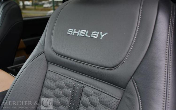 FORD SHELBY F150 BLANC PET9813