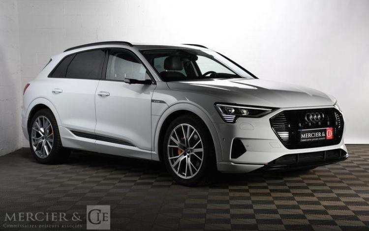 AUDI E-TRON 55 AVUS EXTENDED QUATTRO BLANC FT-731-WW