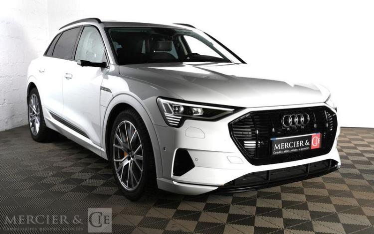 AUDI E-TRON 55 AVUS EXTENDED QUATTRO BLANC FT-731-WW