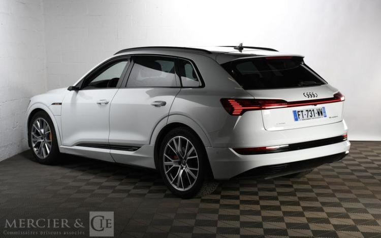 AUDI E-TRON 55 AVUS EXTENDED QUATTRO BLANC FT-731-WW