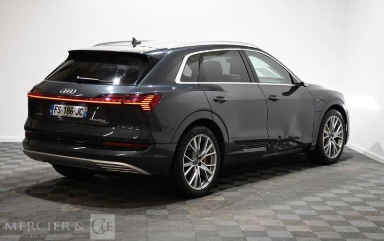 AUDI E-TRON 55 AVUS EXTENDED QUATTRO GRIS FS-186-JC